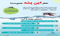 پشه آئدس
